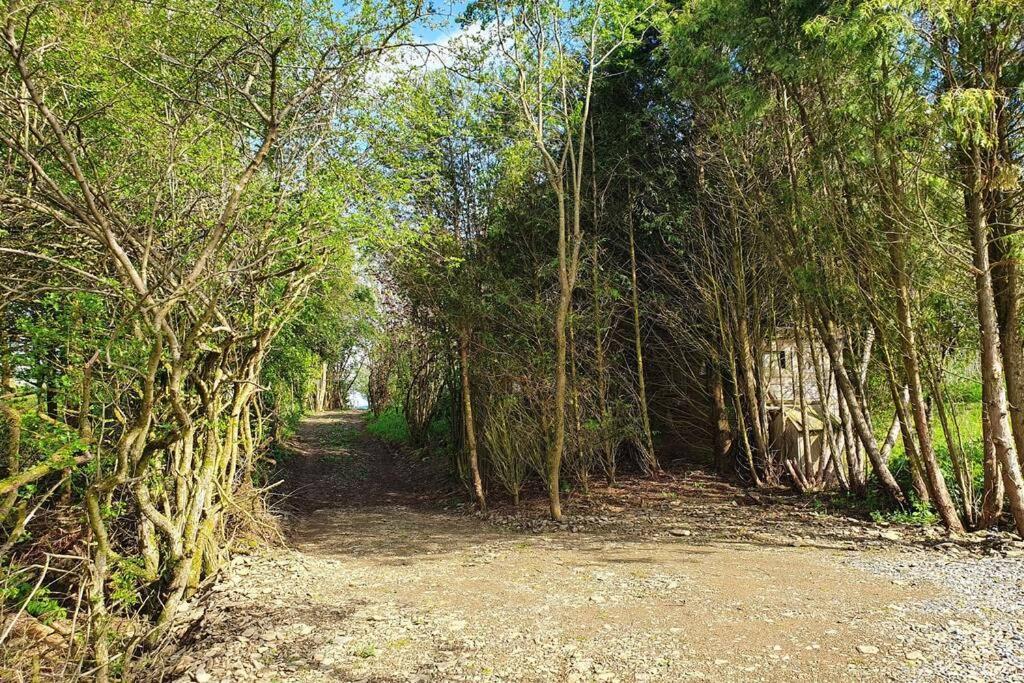 Le Chalet Des Oisai Wibrin Luaran gambar